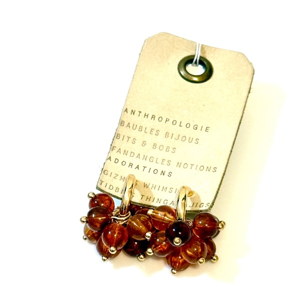 Anthropologie Amber Cluster Hoop Earrings - Picture 2 of 5